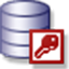 Microsoft Access database